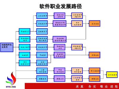 网络工程在软件行业的职业规划 路径、技能与发展前景
